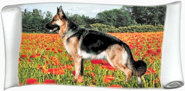 Pet memorial plaques