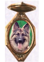 Bronze Frames for pets